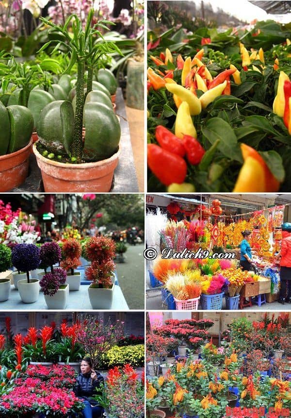 Dạo quanh chợ hoa Phố Cổ nổi tiếng Hà Nội 