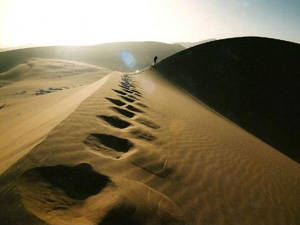 Phiêu lưu mạo hiểm - sa mạc Namib - Namibia - iVIVU.com