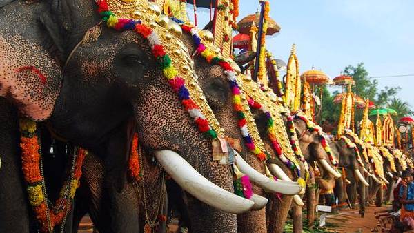 Lễ hội Thrissur Pooram, Ấn Độ