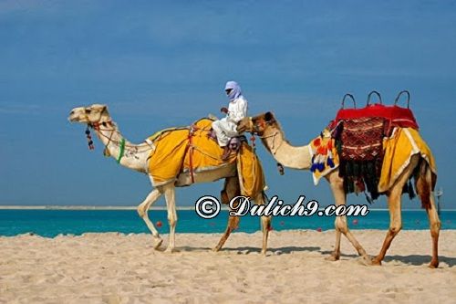 Thời điểm du lịch thích hợp ở Dubai/ Nên du lịch Dubai khi nào? Kinh nghiệm du lịch Dubai tự túc, giá rẻ
