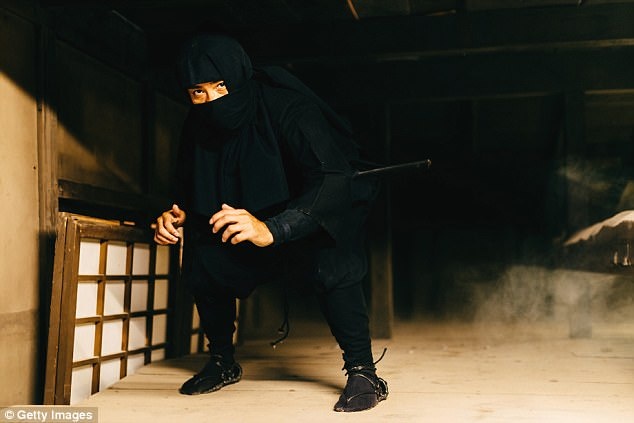 Ninja anh 1