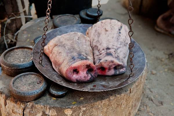 Mũi lợn là món ăn hàng ngày của người dân nghèo ở Burma,Myanmar