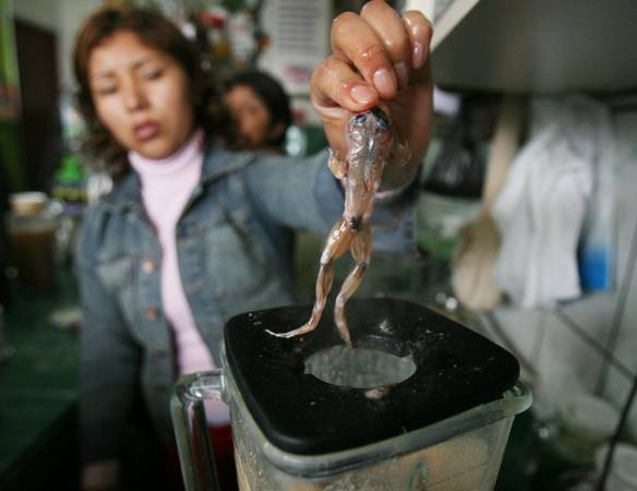 Ếch được dùng để pha chế thức uống tại một khu chợ ở San Juan de Lurigancho, Lima, thủ đô Peru. Ảnh: Mariana Bazo / Reuters