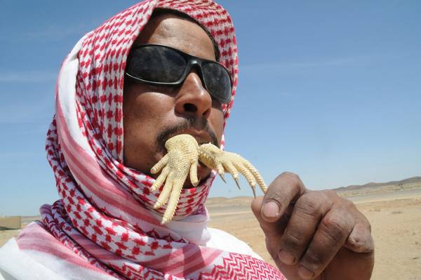 Người đàn ông đang ăn thằn lằn Uromastyx. Bức ảnh được chụp ở Tabuk, Ả Rập Saudi. Ảnh: Mohamed Hwaity / Reuters