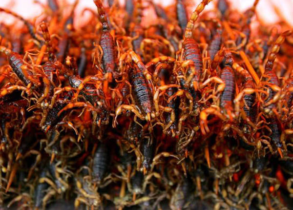 Ở nhiều nước như Thái Lan, Trung Quốc, bọ cạp thường được chiên lên, ăn giòn và có vị như thịt cua vỏ mềm.