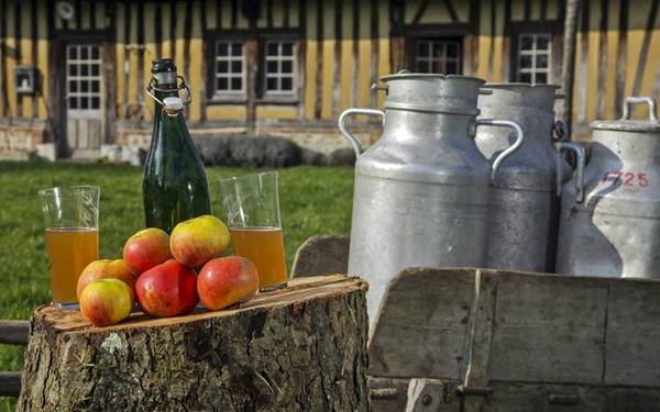 Rượu táo, Normandy, Pháp: Vùng Pays d’Auge của Normandy có những vườn táo thượng hạng. Du khách tới đây sẽ có cơ hội thưởng thức loại rượu táo ngọt ngào, được chưng cất theo phương pháp truyền thống.