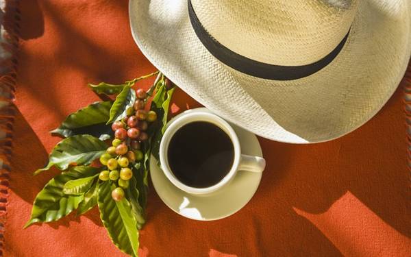 Cà phê, Tây Colombia: Là nơi có sản lượng cà phê lớn thứ 2 thế giới (sau Brazil), Colombia có các tour du lịch dành riêng cho người mê món đồ uống này. “Tam giác cà phê”, gồm Quindío, Caldas và Risaralda, có những trang trại nhỏ rải rác cạnh tuyến đường có phong cảnh hữu tĩnh, với nhiều cơ hội để thưởng thức một tách cà phê đen hảo hạng.