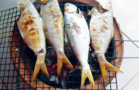Các món từ cá cháy không thể thiếu trong danh sách đặc sản Vĩnh Long. Ảnh: dacsanmientay.