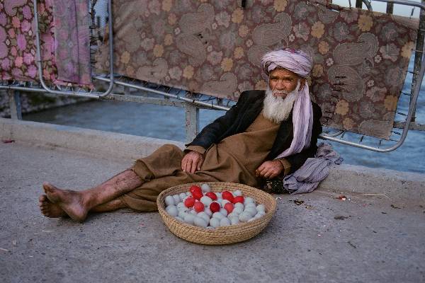 Ở Afghanistan, rất nhiều người sống bằng nghề bán trứng