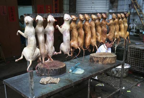 Lễ hội thịt chó diễn ra thường niên tại Ngọc Lâm, Quảng Tây, Trung Quốc gây ra nhiều tranh cãi bởi những người yêu động vật trên toàn thế giới. Ảnh: China Stringer Network / Reuters
