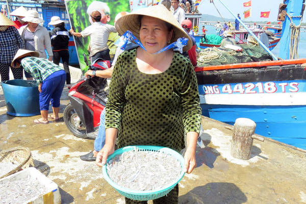 Một tiểu thương hớn hở vừa thu mua được rổ cá cơm mồm tươi rói - Ảnh: Minh Kỳ