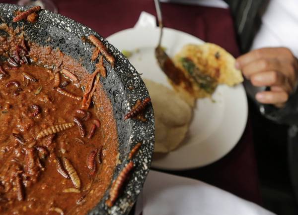 Tại Mexico, các loài côn trùng được xem là “đặc sản” vì chúng cung cấp nhiều chất dinh dưỡng. Người dân nơi đây thường ăn bánh tacos kèm với các loài côn trùng như sâu. Ảnh: Henry Romero / Reuters