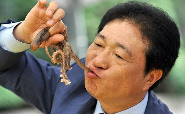 Bạch tuộc “ngọ nguậy” Sannakji (Hàn Quốc)