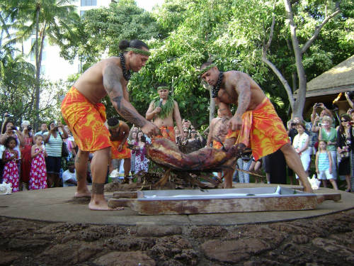 Kalua, Hawaii, Mỹ Lợn sau khi làm sạch sẽ được nhồi đá nóng vào trong, bọc lá chuối hoặc lá ti rồi phủ bên ngoài lớp cát, sau đó nướng 6-7 giờ trong lò ngầm (gọi là IMU). Đây là món ăn truyền thống của người Hawaii bản địa. Ảnh: oregonstate