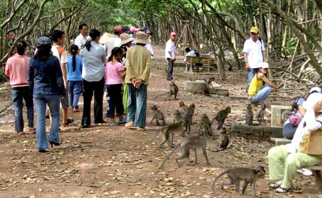 Thăm thú khu du lịch đảo khỉ Cần Giờ Hồ Chí Minh (Ảnh: ST)