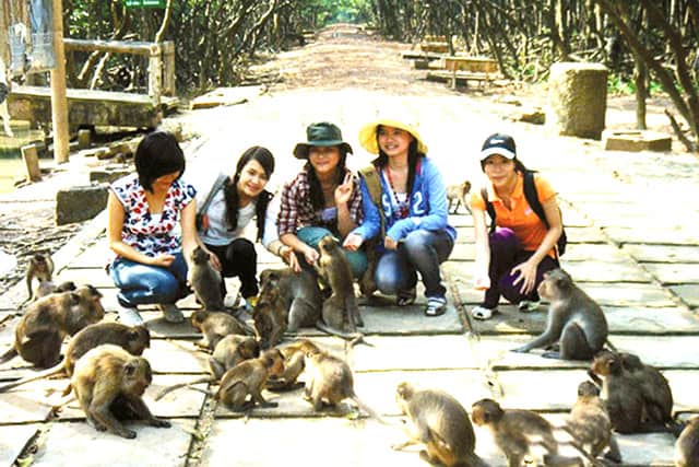 Khách du lịch đảo khỉ chụp ảnh cùng bầy Khỉ (Ảnh: ST)