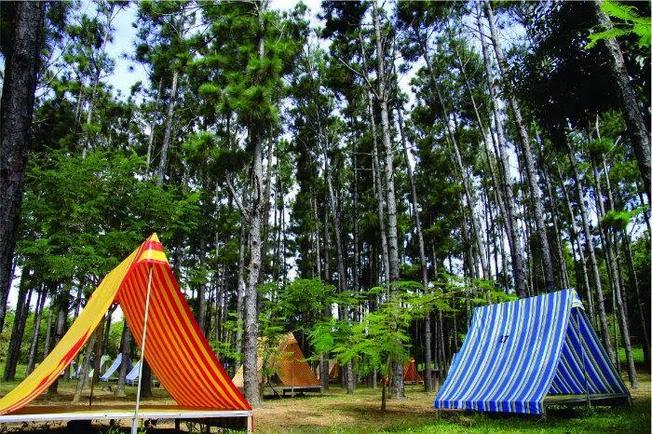 Khu cắm trại xinh đẹp của khu nghỉ dưỡng Du Sơn