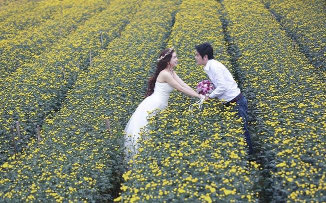 Chụp ảnh cưới tại làng hoa Thái Phiên