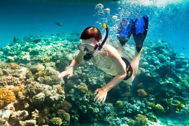 Lặn biển ngắm san hô là gợi ý tuyệt vời khi bạn đi du lịch Nha Trang