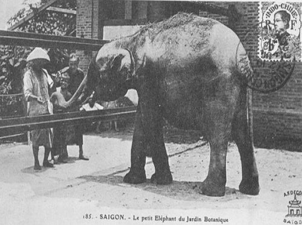 Con voi tại vườn thú Thảo Cầm Điền xưa kia