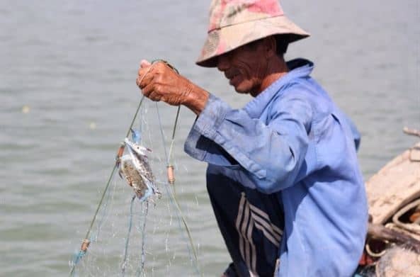 Ngư dân đánh bắt cá trên đảo hàng ngày 