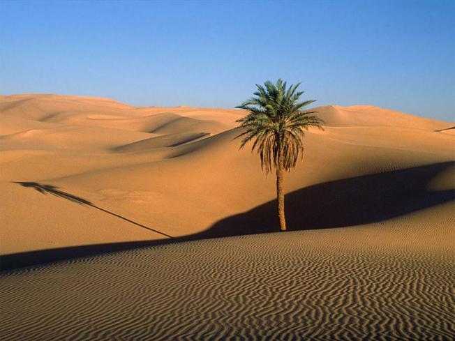 Hoang mạc cát