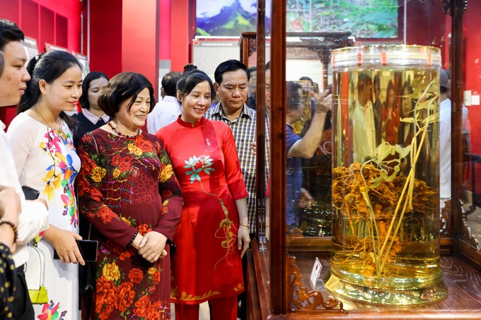 Sâm Ngọc Linh là bảo tàng tư nhân thứ tư ở TP HCM, mở cửa các ngày trong tuần trừ thứ ba.