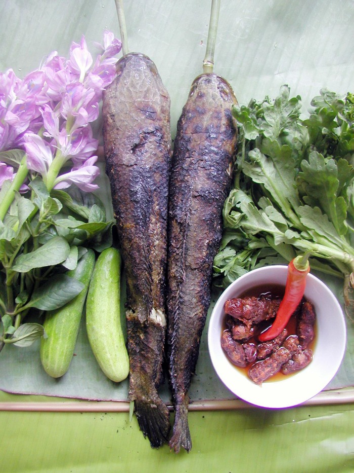Cá lóc đồng nướng trui - một trong những món ăn dân dã của người dân miền Tây, đặc biệt ở Hậu Giang. Ảnh: Quỳnh Biển.