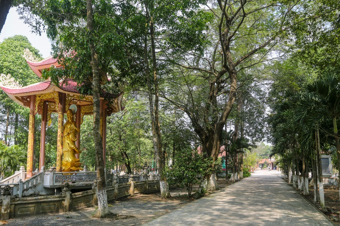 Không gian chùa rộng rãi, rợp bóng cây xanh. Năm 1997, chùa được xếp hạng di tích lịch sử cấp quốc gia.