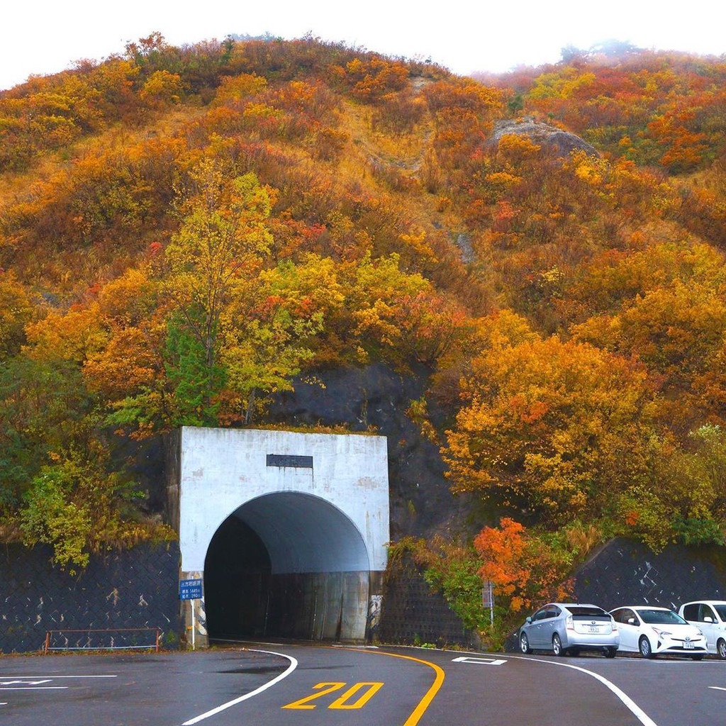 Chạy xe trên con đường trắng, du khách có thể quan sát được cảnh núi non trùng điệp của Hakusan với những thảm lá vàng, lá đỏ phủ kín. Đoạn đường Hakusan Shirakawa-go được đánh giá là hiểm trở. Vì điều kiện mùa đông khắc nghiệt, đoạn đường chỉ cho phép xe chạy từ tháng 6-11 hàng năm. Ảnh: nori_studio_2019.