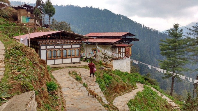 Tu viện Tango được xây dựng từ năm 1688, cách thủ đô Thimphu khoảng 16 km về phía bắc. Nơi đây cũng nằm trên vách núi cheo leo giống tu viện Tiger’s Nest. Tango là trường Phật học với chương trình đại học kéo dài 6 năm, cao học dài 9 năm. Trên đường lên tu viện, du khách sẽ bắt gặp nhiều thùng rác nhỏ được treo lên cây, viết những câu hay với mục đích chính là bảo vệ môi trường. Ảnh: Krishnakuya.
