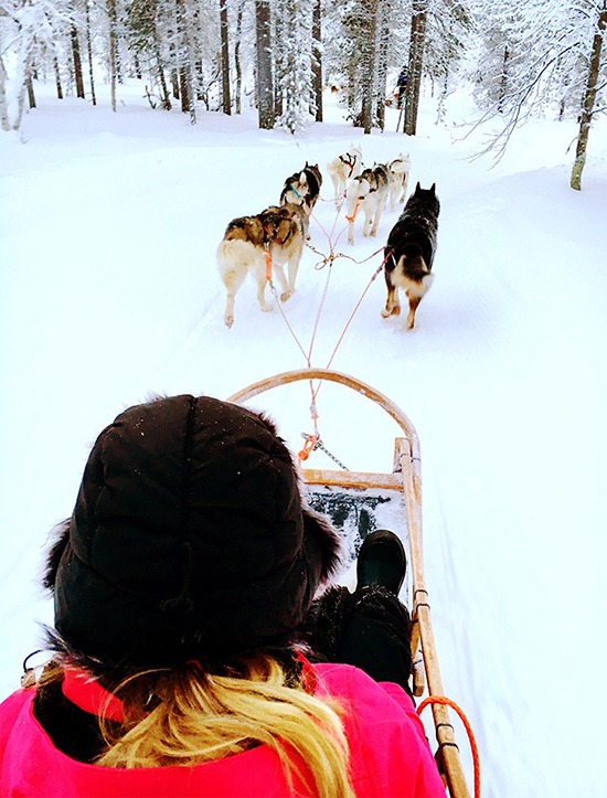 Để di chuyển và thăm thú xung quanh, du khách sẽ được ngồi trên chiếc xe trượt đặc biệt. Những chú chó Husky có nhiệm vụ kéo xe cho du khách băng qua khu rừng tuyết phủ, đây là hình ảnh đặc trưng của những vùng Bắc Cực.
