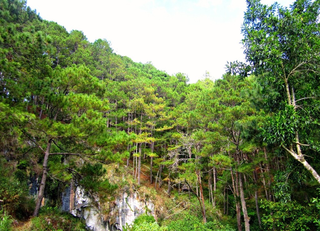 trekking-san-may-va-4-trai-nghiem-hap-dan-chi-co-o-philippines-ivivu-3