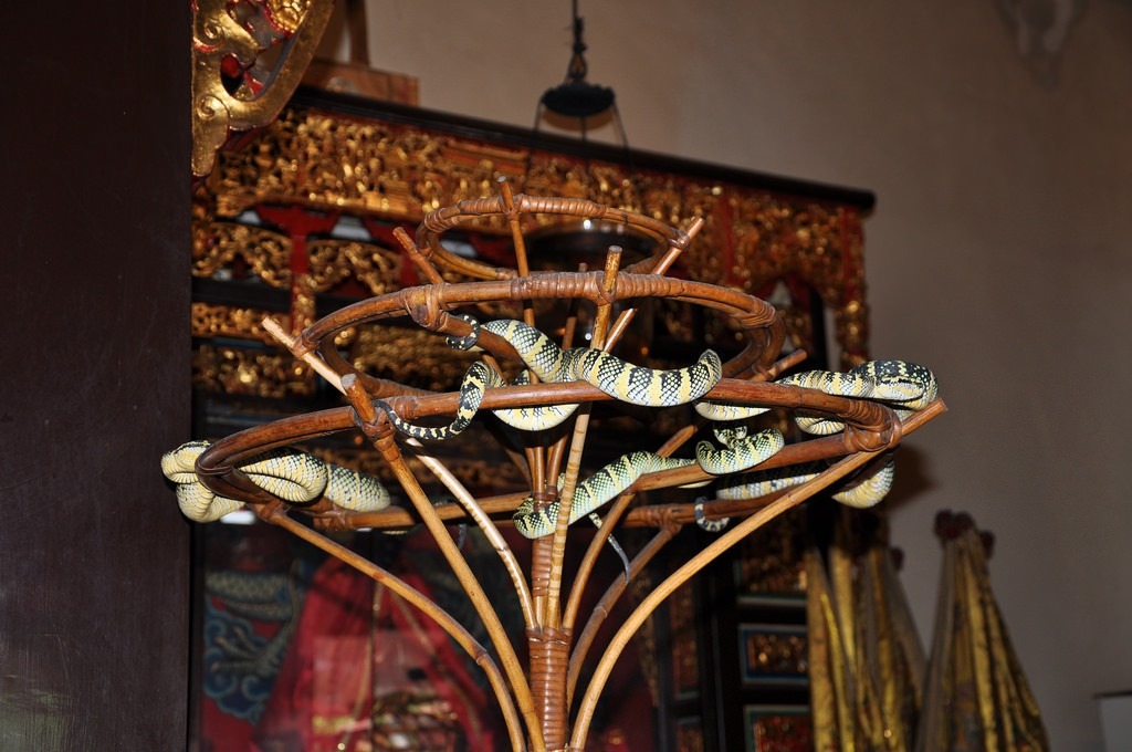 Ngôi đền có những bức tượng được chạm khắc tinh xảo. Điểm ấn tượng nhất là chiếc chuông lớn tại sảnh chính, được mang về từ Trung Quốc vào năm 1886 trong triều đại Mãn Châu. Ở phía sau của ngôi đền, nếu để ý kỹ, bạn sẽ thấy những con rắn đang cuộn quanh cành cây. Việc thống kê số lượng rắn hiện sống trong khuôn viên chùa là điều khó khăn. Ảnh: Justgola.