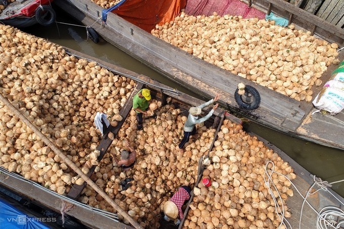 Tác phẩm "Tập kết dừa trên bến sông Thơm" của tác giả Nguyễn Minh Tân (TP HCM), giải khuyến khích. Bến Tre hiện có 72.000 ha dừa, 200.000 hộ trồng, là nơi chế biến xuất khẩu dừa lớn nhất cả nước.