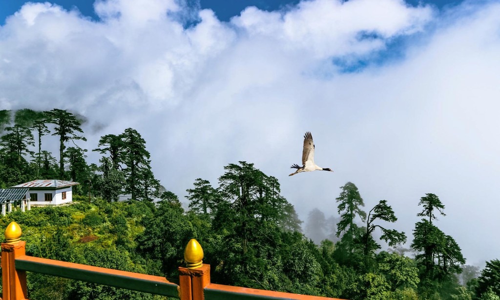 Tiger''s Nest cũng được xem là một trong những nơi lạnh nhất ở Bhutan. Tu viện ẩn hiện sau những hàng cây và vách đá cheo leo đầy kỳ diệu, xen lẫn là những lớp sương mù và mây trắng bồng bềnh. Tại đây, bạn có thể nhìn toàn cảnh thung lũng Paro bên những góc ban công xinh xắn của mỗi ngôi điện. Ảnh: 52perfectdays.