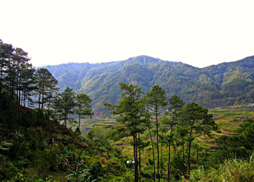 trekking-san-may-va-4-trai-nghiem-hap-dan-chi-co-o-philippines-ivivu-4