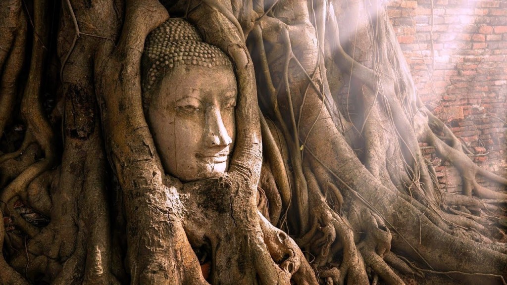 Mahatat được xem là ngôi chùa có vị trí khá quan trọng và là di tích trung tâm của Hoàng Cung Ayutthaya. Điểm đến được nhiều du khách lựa chọn khi ghé Thái Lan bởi hình ảnh đầu của một pho tượng Phật bằng đá ẩn mình trong rễ cây sung cổ thụ hùng vĩ. Ảnh: RVC Travel.