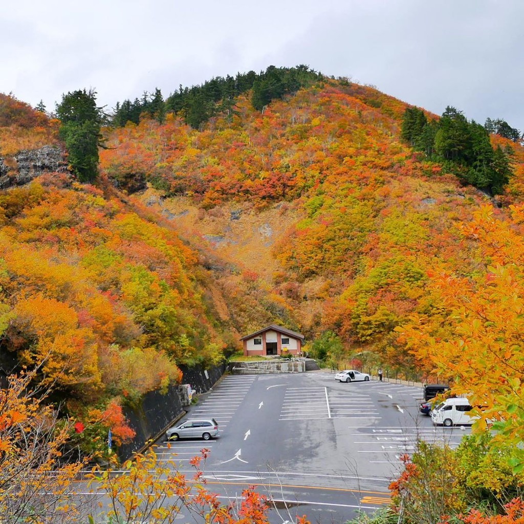 Trên đoạn đường trắng có trạm dừng chân tại đài quan sát Hakusan. Từ đây, du khách có thể ngắm nhìn toàn cảnh ngọn núi Hakusan hùng vĩ. Ảnh: Ichirino.