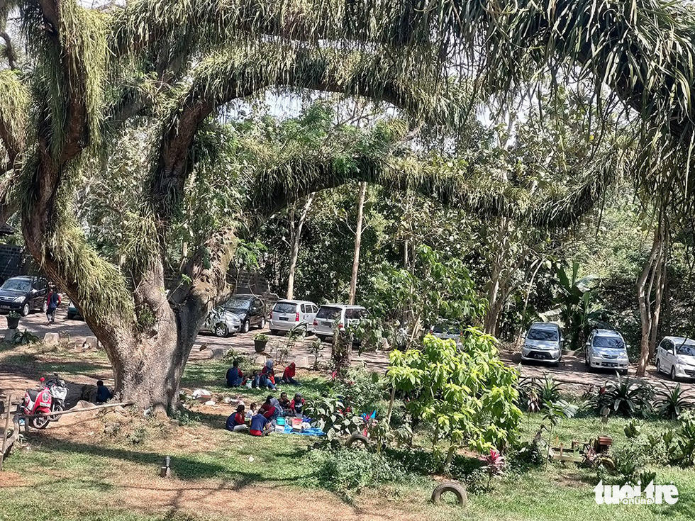 Là nơi để gia đình cùng đi picnic - Ảnh: ĐẠI AN