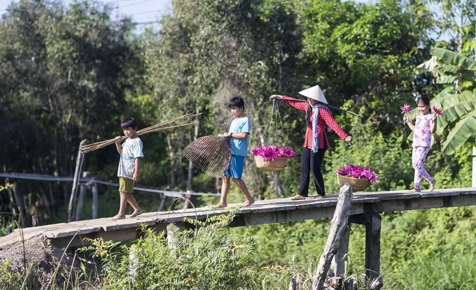 Những đứa trẻ theo cô gái gánh hoa súng qua cầu đem ra chợ bán. Hoa súng miền Tây có thể chế biến xào, nấu canh chua, món nào cũng ngon, nhưng ngon nhất làm bông súng mắm kho. Bông súng rửa sạch, tước lớp vỏ ngoài mỏng, ngắt hoa, giữ lại cọng, chỉ cần vài con cá linh, rô đồng, thịt heo ba rọi cùng vài ba quả cà tím là có ngay một nồi lẩu thơm ngon, đúng điệu miền Tây. “Tôi thật sự ấn tượng trước vẻ đẹp của miền Tây mùa nước nổi và yêu mến những con người chất phát nơi đây. Hàng năm, mỗi khi con lũ về, tôi đều có mặt để chụp mùa hoa súng nở, mang đến những trải nghiệm khó quên”, nhiếp ảnh gia Vũ Tường Chiểu (sống và làm việc tại TP HCM), nói.