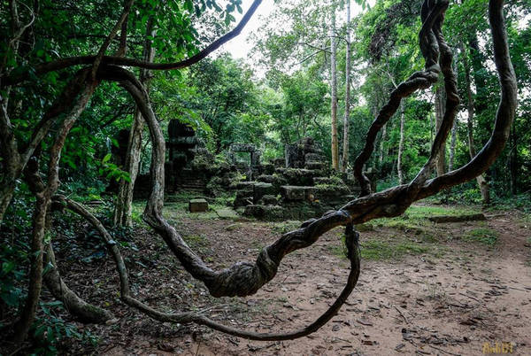 Đến Banteay Kdei, bạn sẽ cảm nhận được sự huyền bí, cổ kính tạo nên một cảm giác thú vị và lạ lùng.