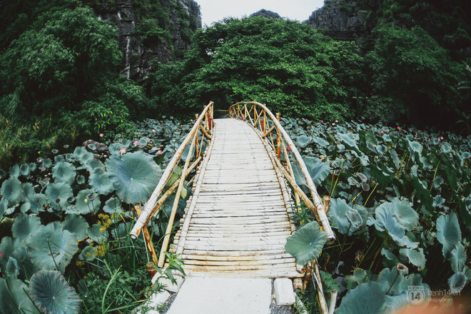 ninh-binh-dep-thi-ai-cha-biet-nhung-day-moi-la-thoi-diem-dep-nhat-hoi-tu-nhung-thu-tuyet-dinh-trong-nam-ivivu-14