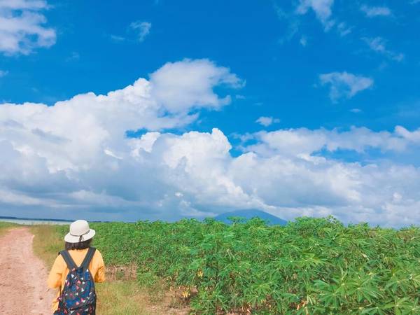 Xa xa đằng kia là núi Bà Đen