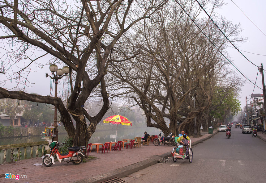 Những hàng cây đã rụng lá đầu đường Bạch Đằng. Mỗi bước người qua là những tiếng xào xạc bởi lớp lá xa cây trải trên hè phố.