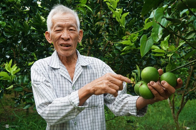 Điểm tiếp theo trên hành trình gần 9 km là vườn trái cây, nơi để tìm hiểu về quy trình chăm sóc hay cấy ghép. Tuỳ thời điểm trong năm mà vườn có các loại trái cây khác nhau.