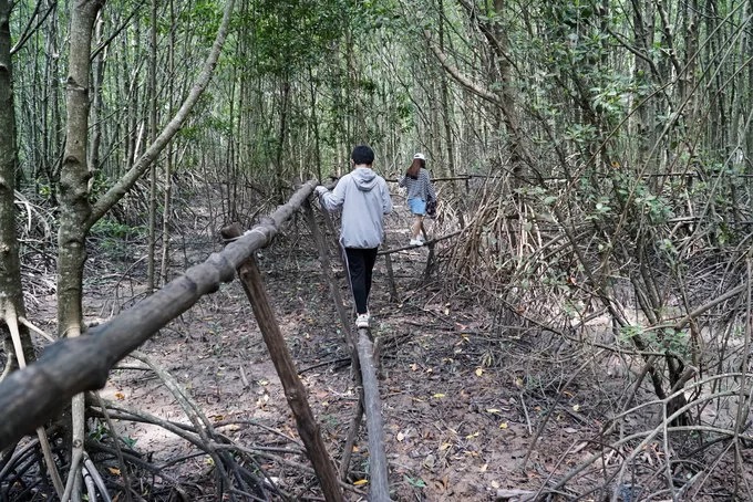 Du khách đến Đất Mũi có thể trải nghiệm đi cầu khỉ xuyên rừng để khám phá hệ sinh thái rừng ngập mặn. Hàng năm nơi này vẫn lấn biển do hoạt động phù sa. Hai loại cây phổ biến ở đây là mắm và đước. Cây mắm thường mọc trên đất bồi, rễ đâm ngược lên để giữ đất, tiếp đến là đước và những cây trong rừng ngập mặn khác như sú, vẹt. Đó là lý do Cà Mau được ví là nơi “đất biết nở, rừng biết đi và biển sinh sôi”.