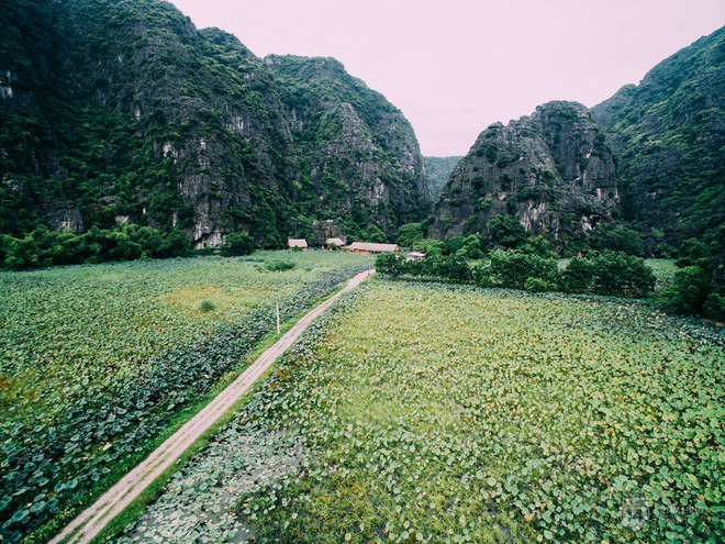 ninh-binh-dep-thi-ai-cha-biet-nhung-day-moi-la-thoi-diem-dep-nhat-hoi-tu-nhung-thu-tuyet-dinh-trong-nam-ivivu-13