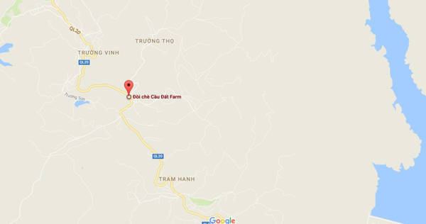 Vị trí đồi chè Cầu Đất hiển thị nằm trên quốc lộ 20, thuộc xã Trường Thọ. Nếu từ trung tâm thành phố Đà Lạt, bạn đi thẳng theo đường Trần Hưng Đạo - Hùng Vương tầm hơn 20 km.
