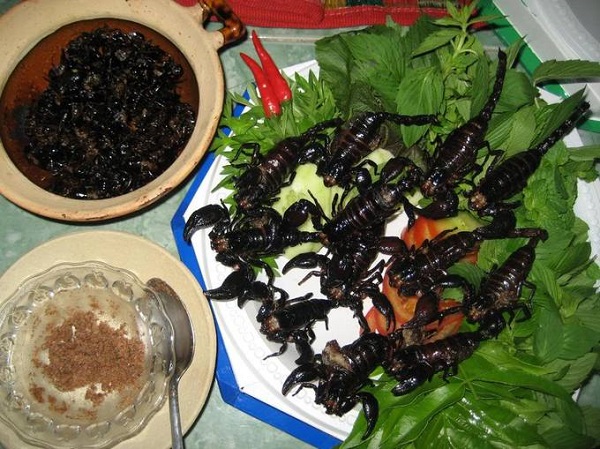 Cũng giống như Campuchia và Thái Lan, các món ăn từ côn trùng như bọ cạp, dế, châu chấu... nướng hay chiên tuy nhìn rất đáng sợ nhưng lại rất được ưa chuộng tại Lào. Nếu có can đảm, bạn có thể thử mùi vị món ăn này cho biết.